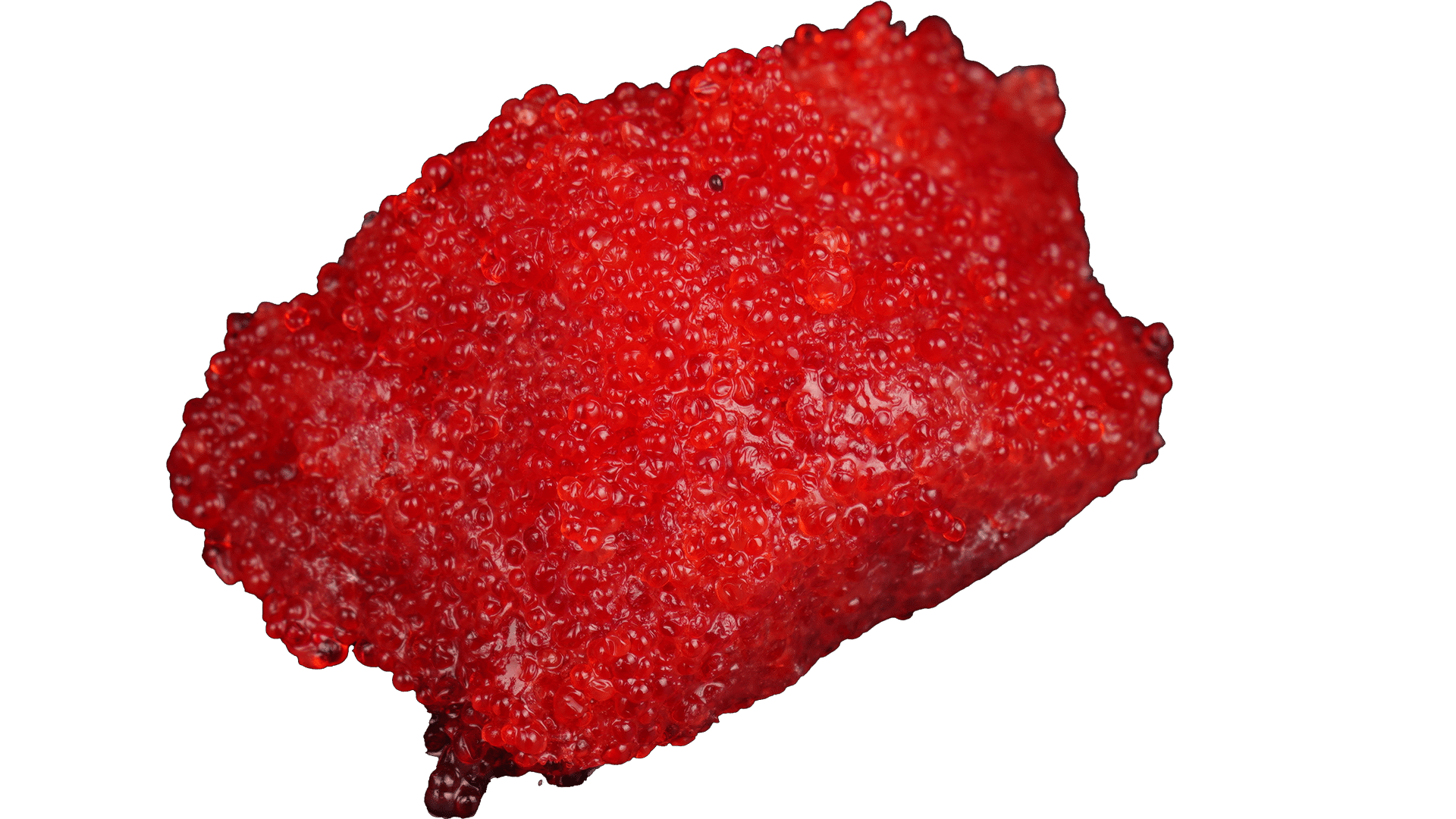 1641_Masago-Red-Kaviar-vom-Capelin-Fisch