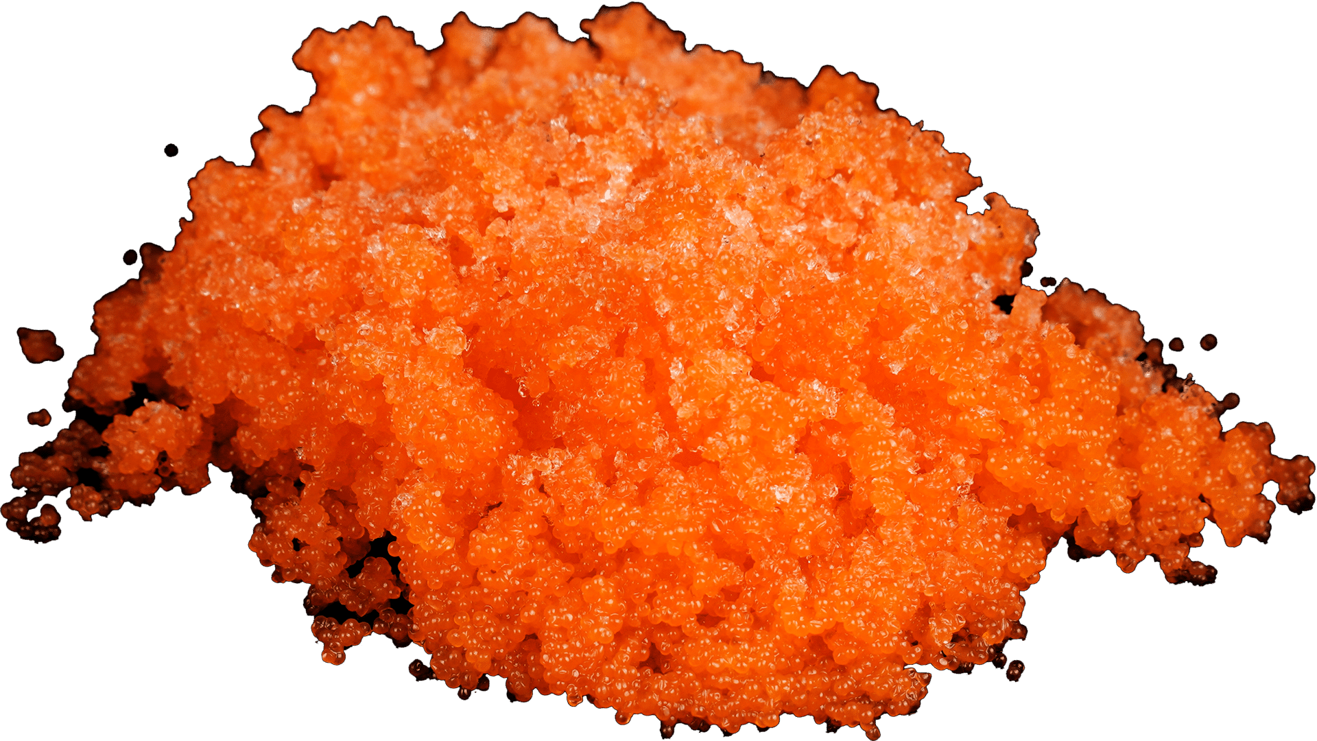 1643_Masago-Orange-Kaviar-vom-Capelin-Fisch