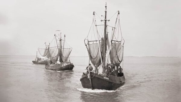 Fisch seit Generationen Der Nordseekrabbenkutter „ARM-13 de kleine Leen“ von Johannes van Belzen im Hafen von Veere (Zeeland) ANNO 1956