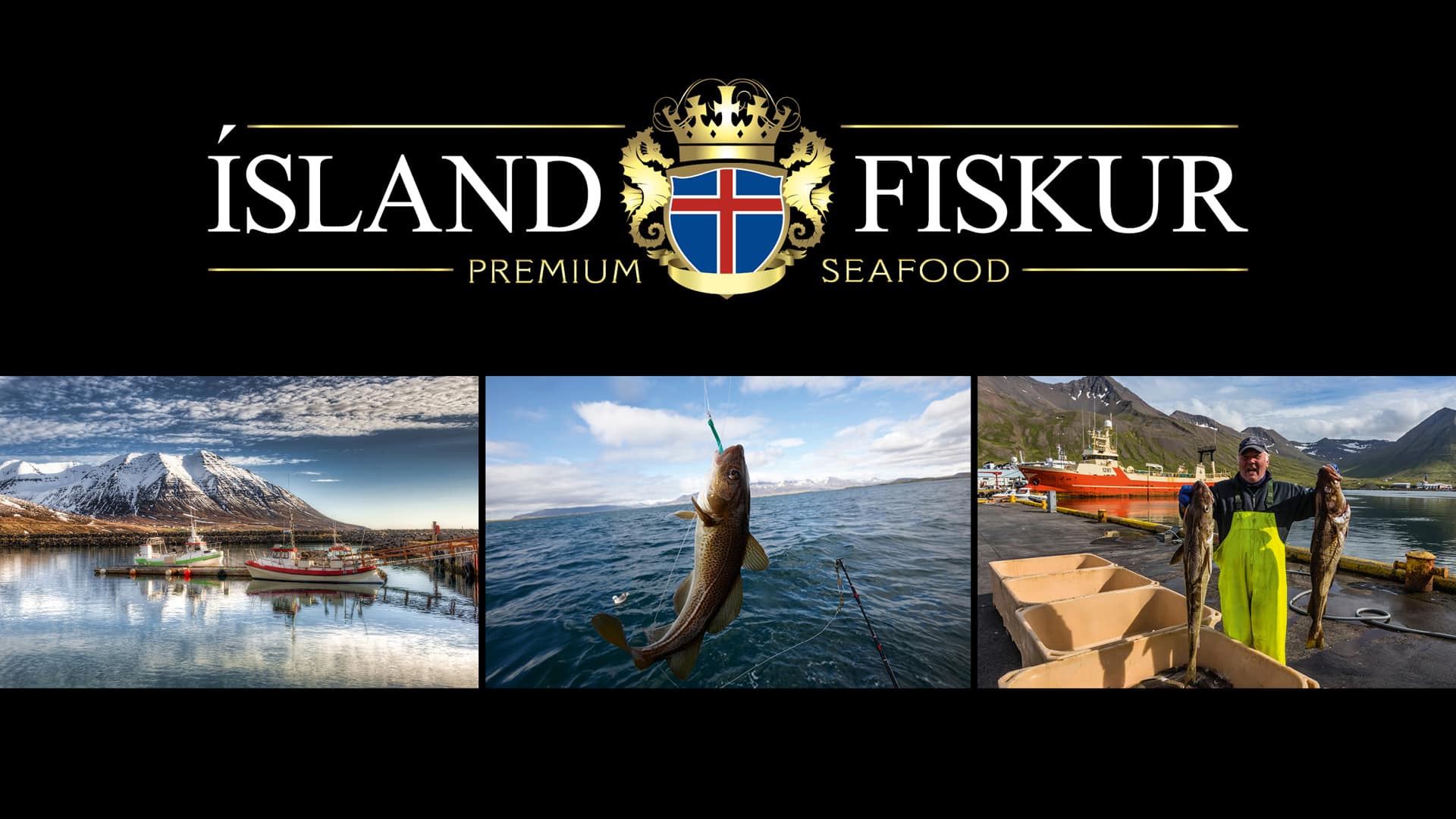Schaffung und Etablierung der Premium Seafood Marke Island Fiskur