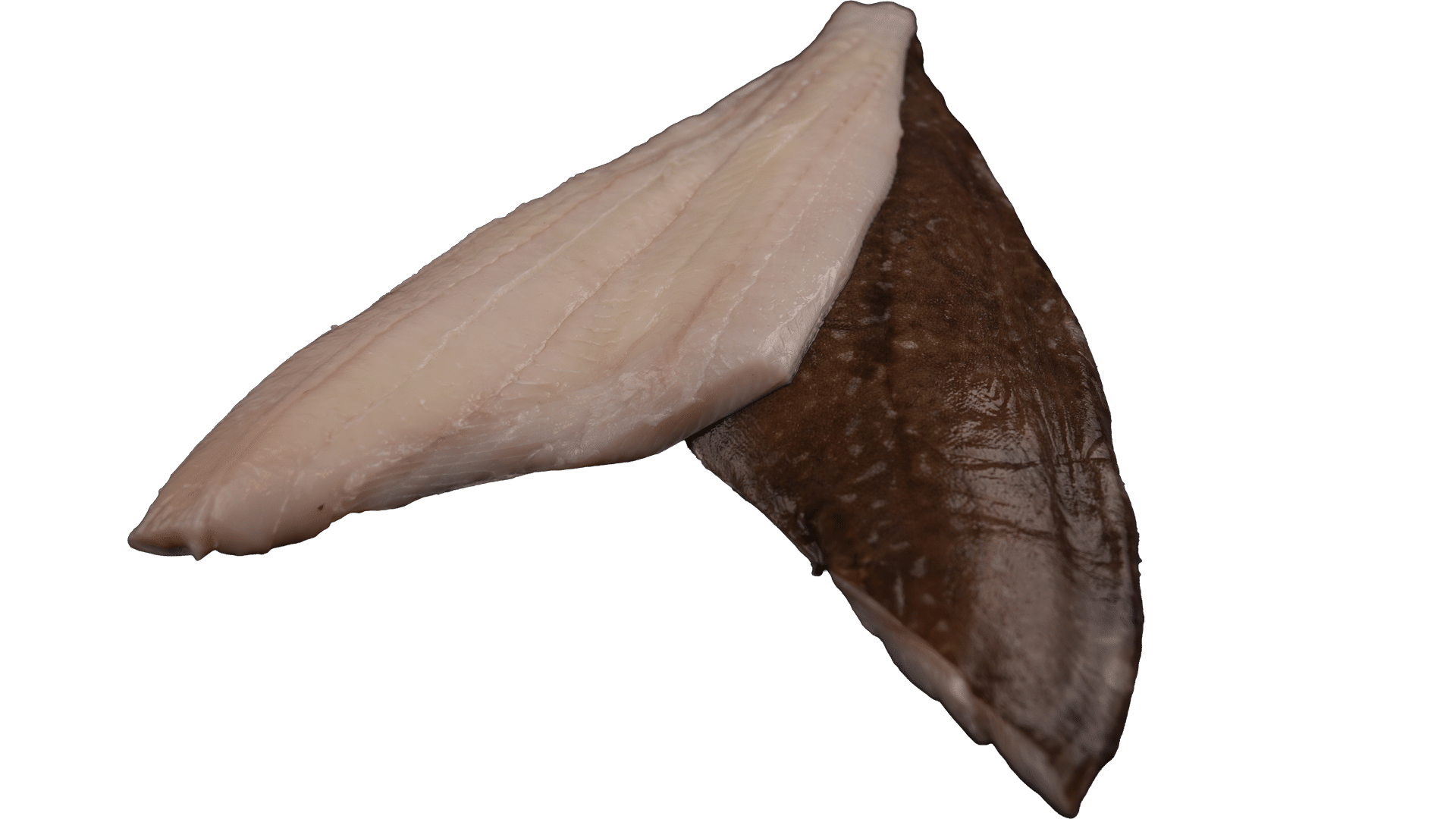 2215_Heilbuttfilet_weiss