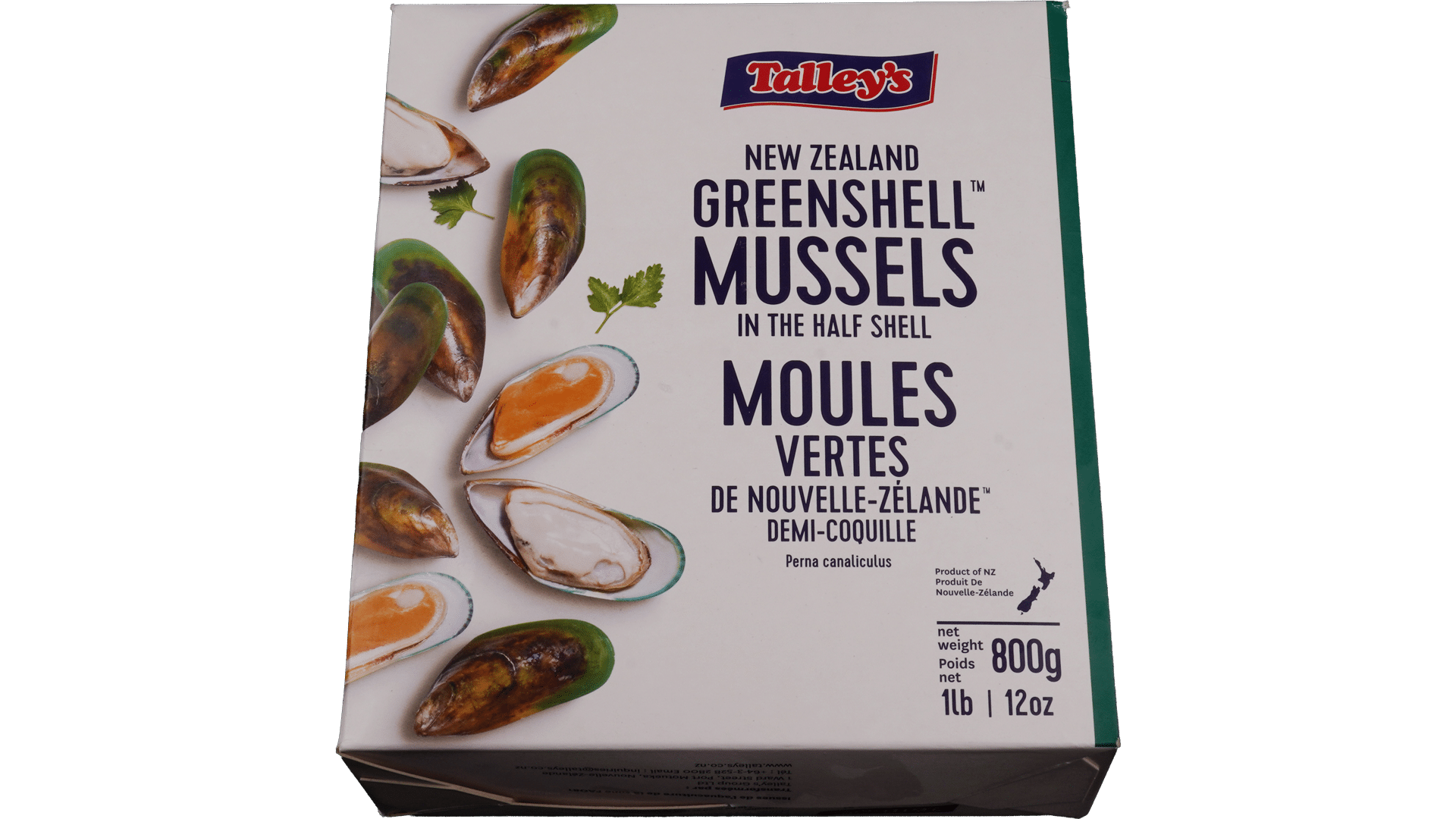 2404_Gruenschalmuscheln