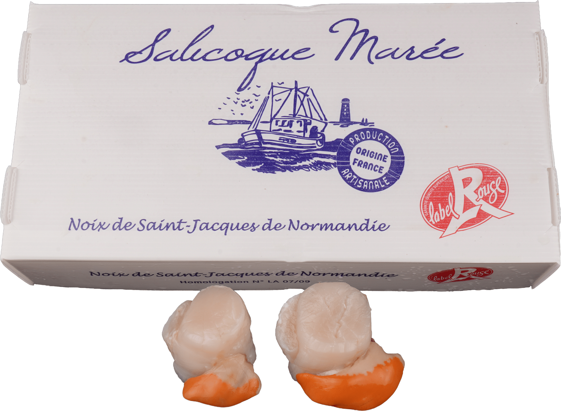 2498_St-Jakobsmuschelfleisch