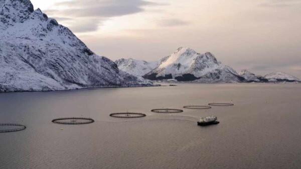 ASC-Zertifizierung ASC-Zertifizierung Aquaculture Stewardship Council ASC Siegel verantwortungsvolle Zucht Verantwortung