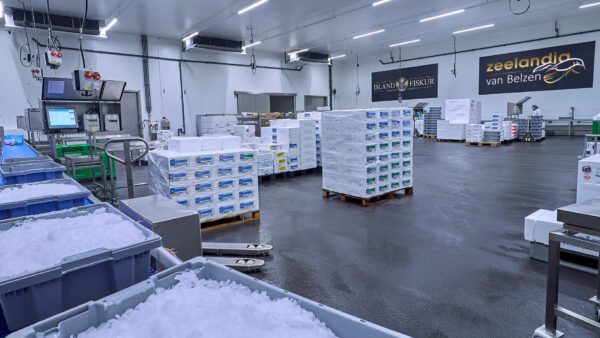 Kommissionierung Kommissionierung
