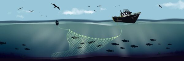 Pesca con esche artificiali della canna da pesca, pesca a mosca, pesca con lenza a mulinello, pesca con reti a circuizione, pesca con nasse.