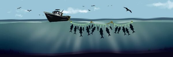 Metodo di pesca con nassa a lungo filo.