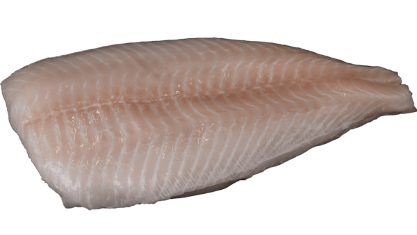 Fisch Filets