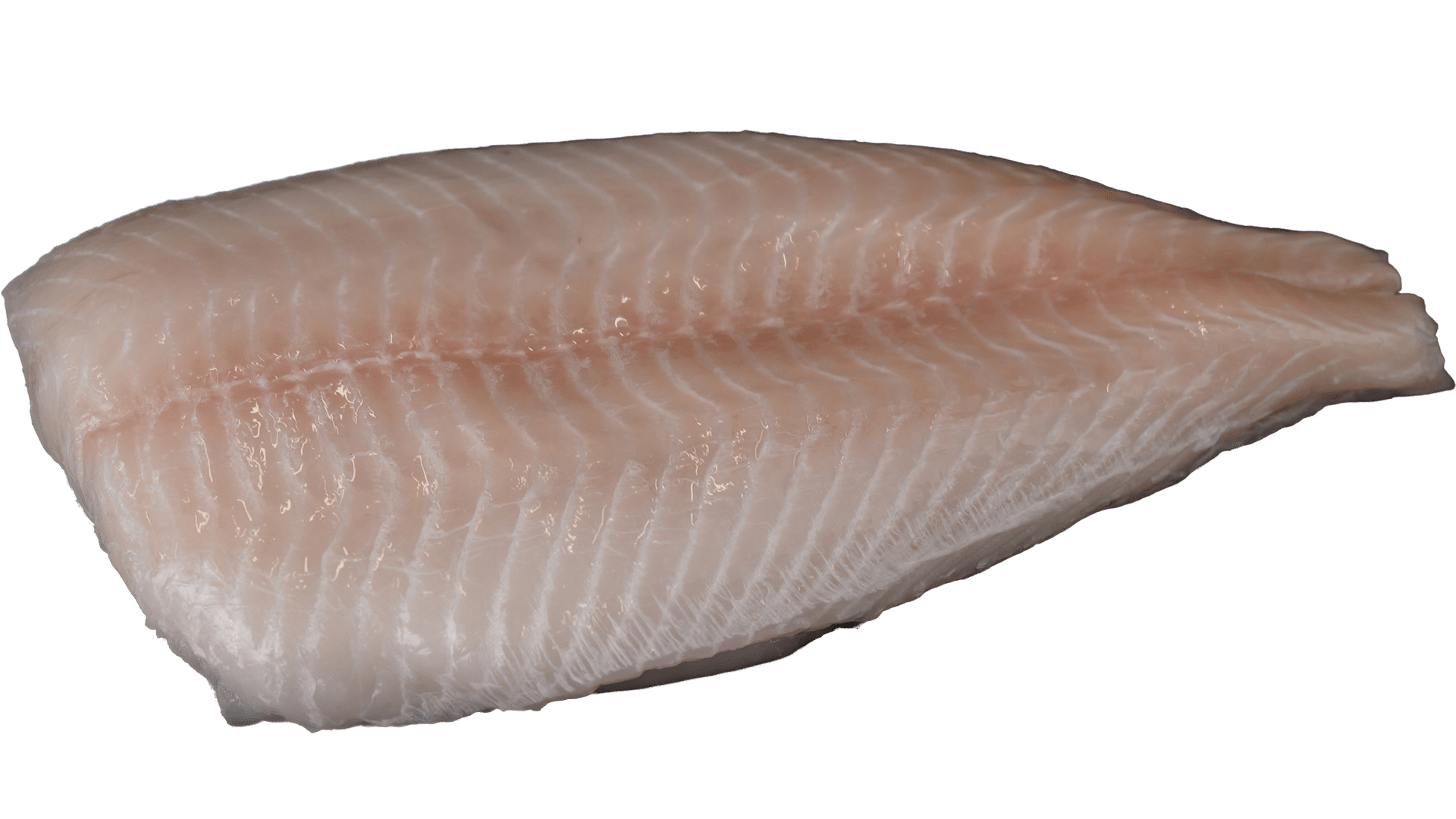 Fisch Filets