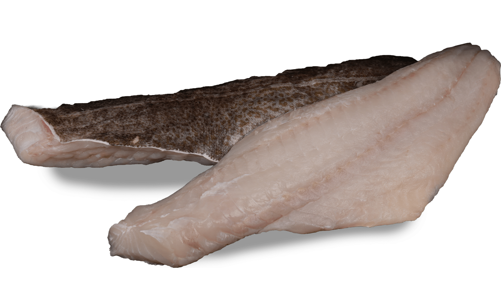 Fisch Island Fiskur