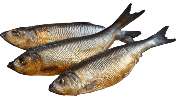 Räucherfisch