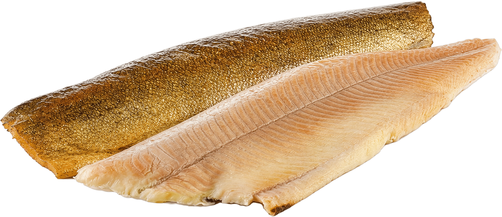 1252_Forellenfilet_mit-Haut_geraeuchert